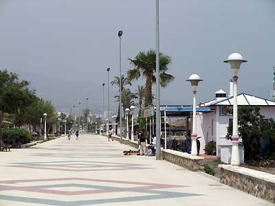 d0129145_511020.jpg