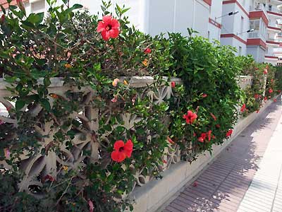 d0129145_5115673.jpg
