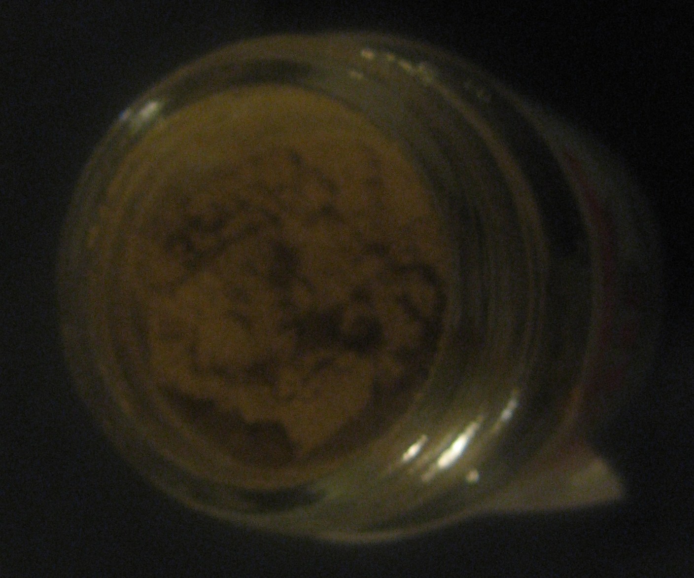 a0087146_94431.jpg