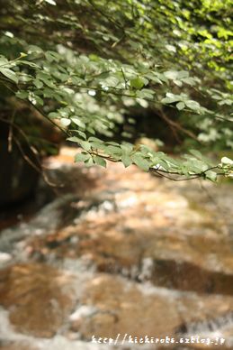 f0039446_1740657.jpg
