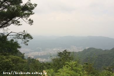 f0039446_17413641.jpg