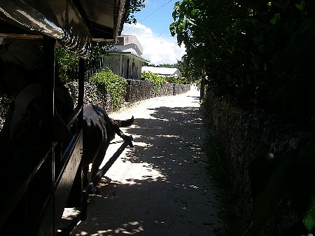 a0056654_21531319.jpg