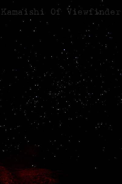 e0168854_4474750.jpg