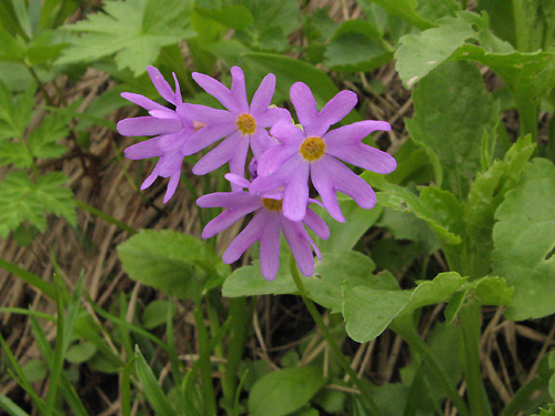 f0007956_1839792.jpg