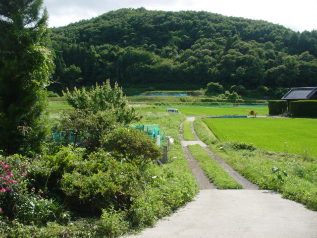 b0156557_13564280.jpg