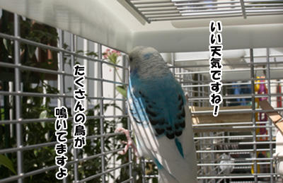 c0066157_17523492.jpg