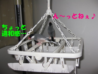 b0158061_20272340.jpg