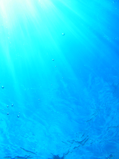 b0062363_1935589.jpg