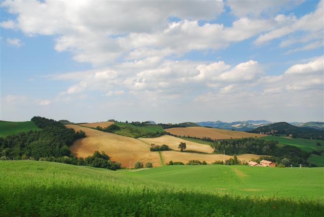 f0118968_6325660.jpg