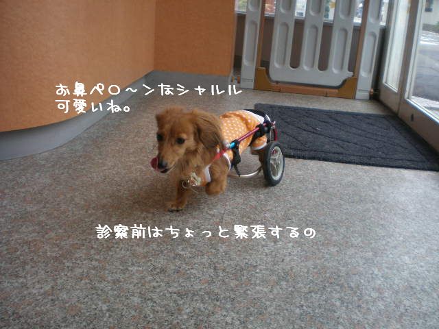 c0138069_1353796.jpg