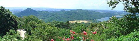 b0102572_10393288.jpg
