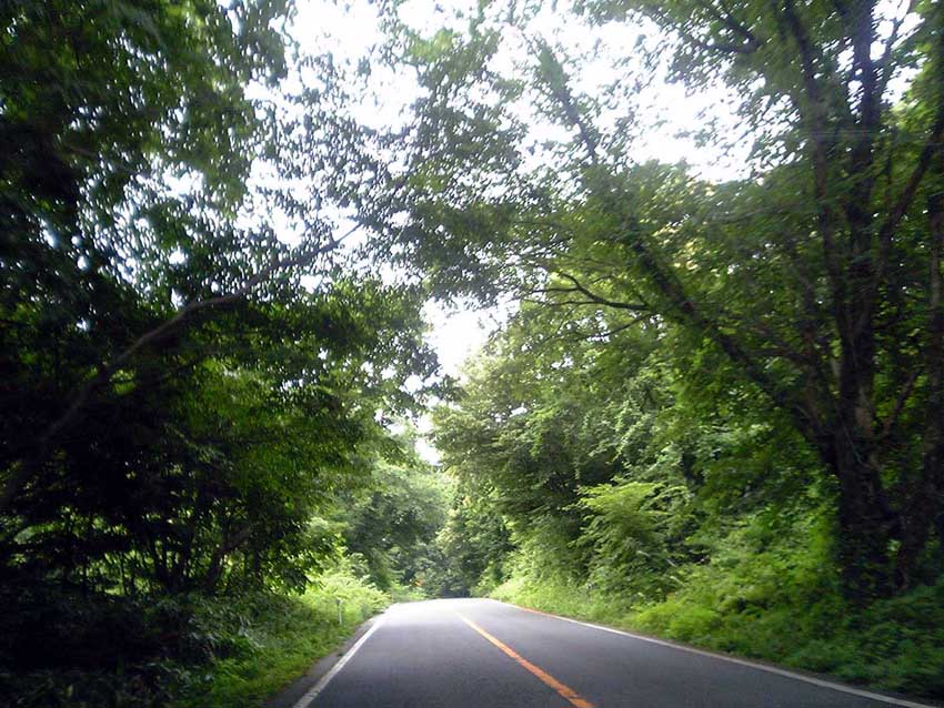 e0126576_1734778.jpg