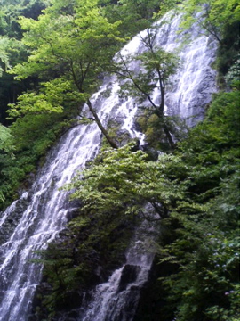 f0054677_7272217.jpg