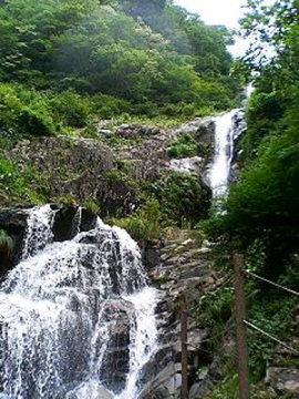 f0054677_7281325.jpg