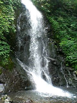 f0054677_7284936.jpg