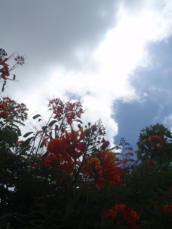 b0053478_040019.jpg