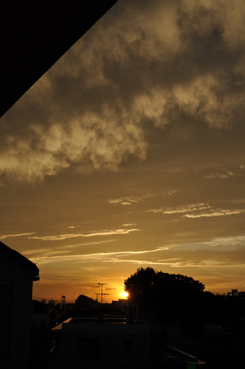 c0187782_21253442.jpg