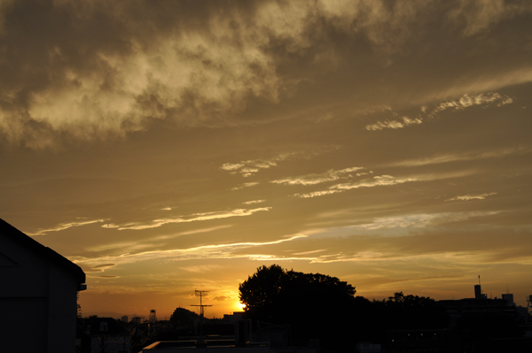 c0187782_2126742.jpg