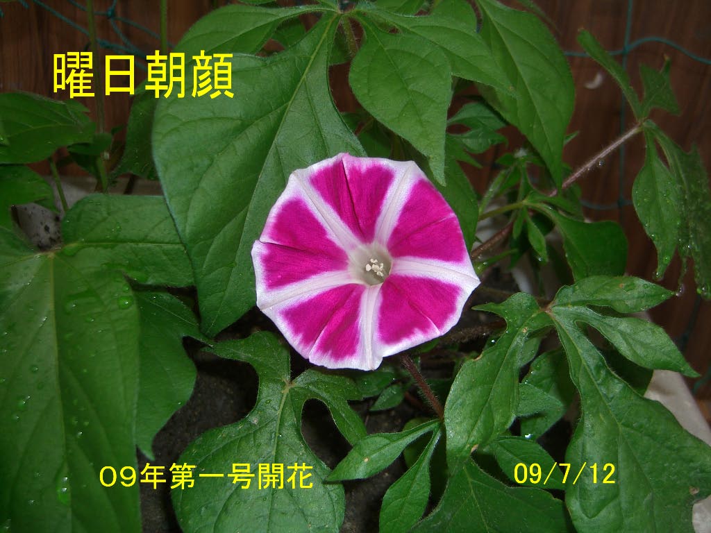 e0023183_3283675.jpg