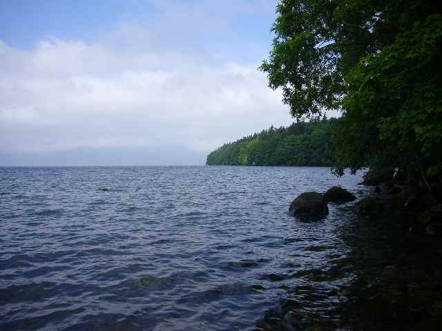 a0118989_22572013.jpg