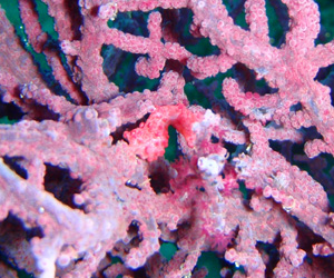 c0018489_23381010.jpg
