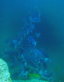 c0018489_23514768.jpg