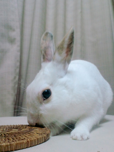 f0201191_1243386.jpg