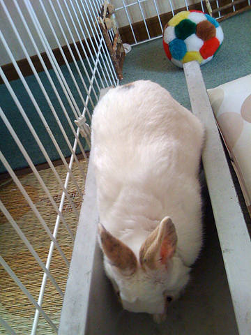 f0201191_18573836.jpg