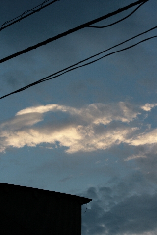 d0133693_2221064.jpg