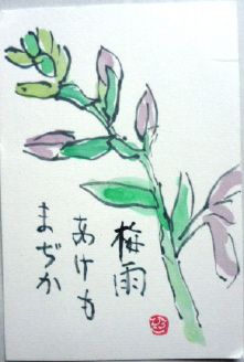 f0029393_532775.jpg