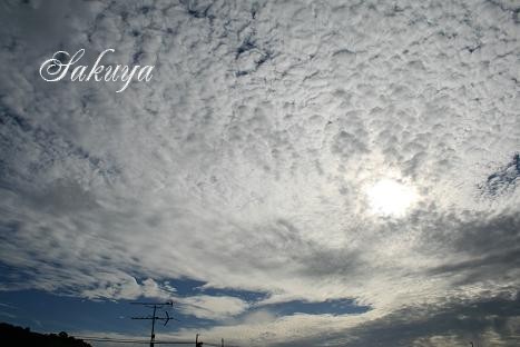 e0122194_2211025.jpg