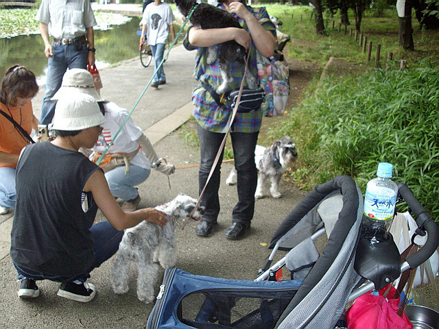 c0138198_013373.jpg