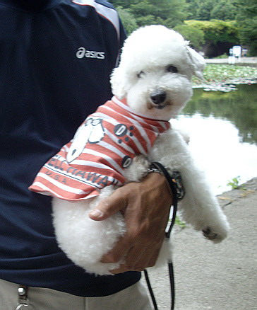 c0138198_018090.jpg