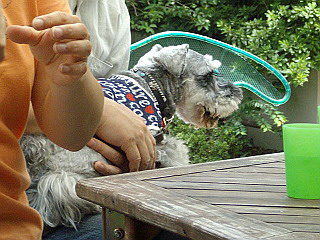 c0138198_2139010.jpg