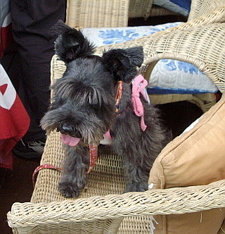 c0138198_21534182.jpg