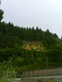 a0061599_14394694.jpg