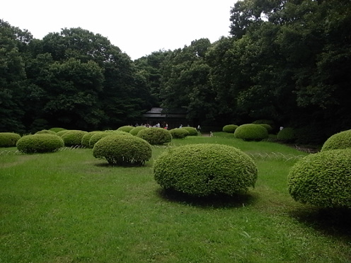 e0043700_20332571.jpg