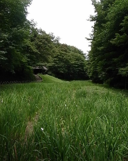 e0043700_20335289.jpg