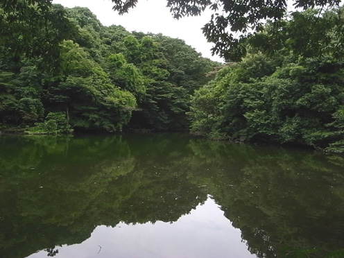 e0043700_2043911.jpg