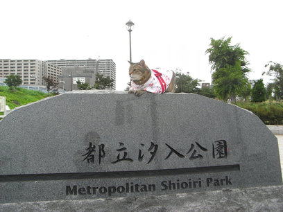 e0031605_71149.jpg
