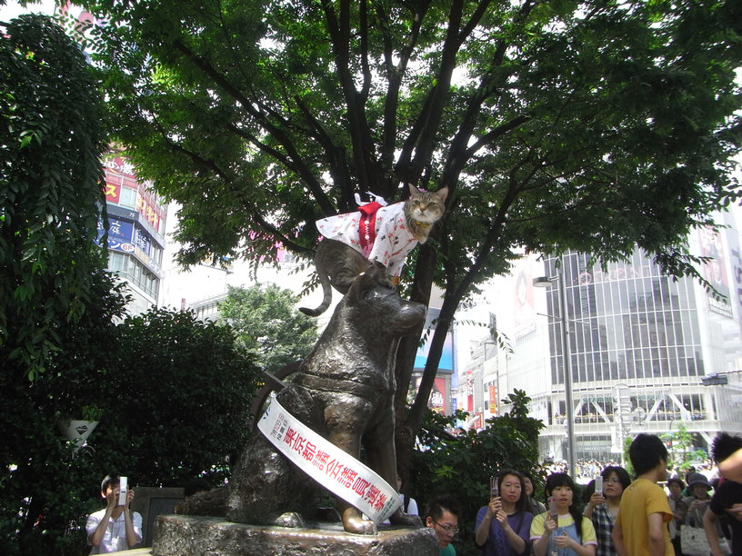 e0031605_764575.jpg