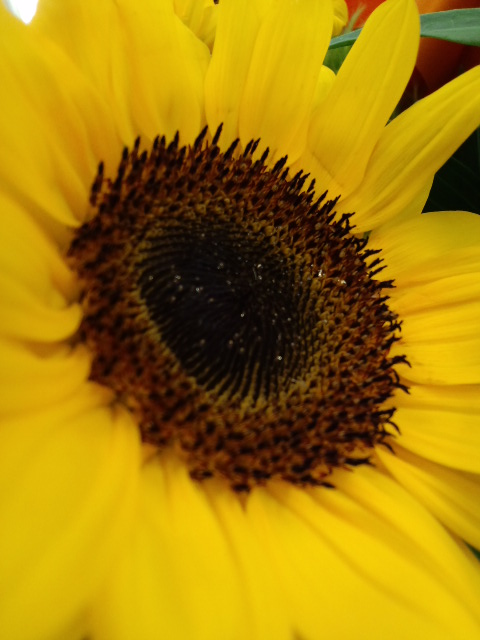 a0088007_2334614.jpg