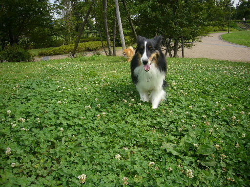 e0130008_19283892.jpg