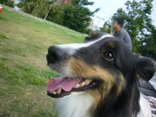 e0130008_1930224.jpg