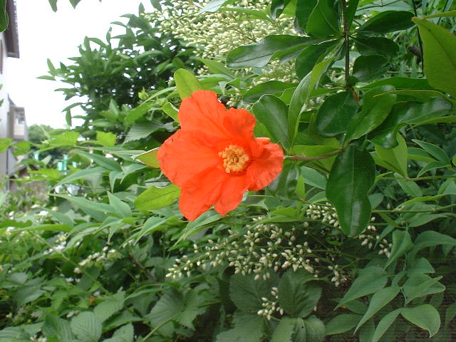 f0173908_19313629.jpg