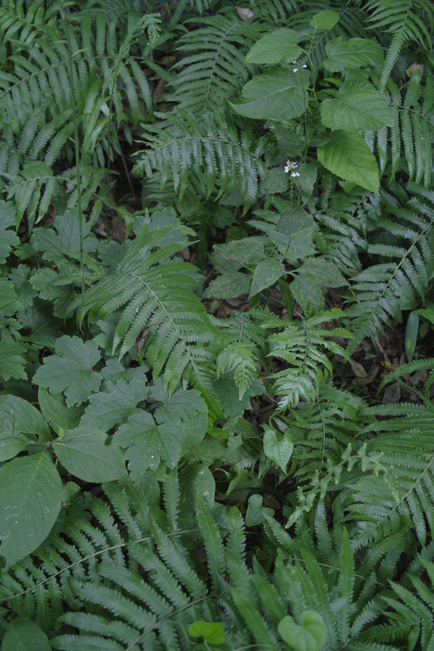 b0137311_23583769.jpg