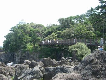 f0197317_6593658.jpg