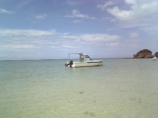 f0031420_7352993.jpg