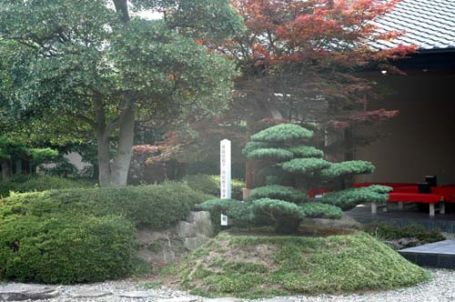 c0059521_17573455.jpg