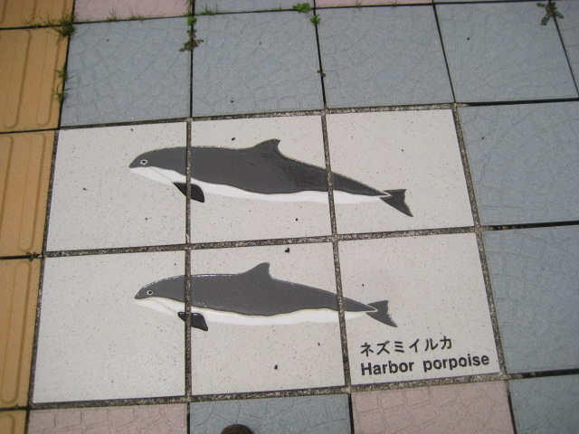 d0147727_19474671.jpg